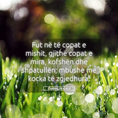 Picture 05 - Ezekieli 24:4 ALB - Fut në të copat e mishit, gjithë copat e mira, - Bible Verse Picture