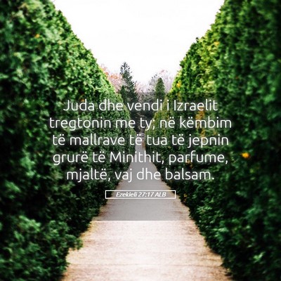 Picture 05 - Ezekieli 27:17 ALB - Juda dhe vendi i Izraelit tregtonin me ty; në - Bible Verse Picture