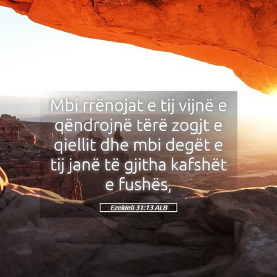 Picture 05 - Ezekieli 31:13 ALB - Mbi rrënojat e tij vijnë e qëndrojnë tërë - Bible Verse Picture