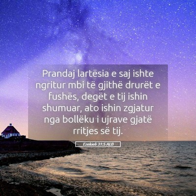 Picture 05 - Ezekieli 31:5 ALB - Prandaj lartësia e saj ishte ngritur mbi të - Bible Verse Picture