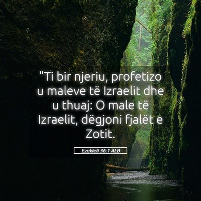 Picture 05 - Ezekieli 36:1 ALB - 