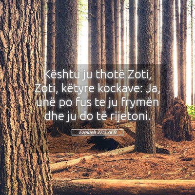 Picture 05 - Ezekieli 37:5 ALB - Kështu ju thotë Zoti, Zoti, këtyre kockave: - Bible Verse Picture