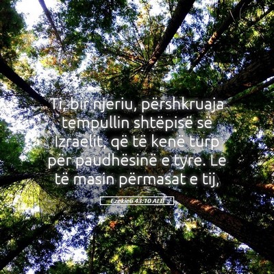 Picture 05 - Ezekieli 43:10 ALB - Ti, bir njeriu, përshkruaja tempullin shtëpisë - Bible Verse Picture