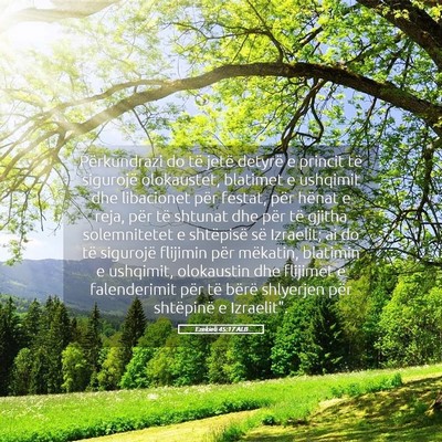 Picture 05 - Ezekieli 45:17 ALB - Përkundrazi do të jetë detyrë e princit të - Bible Verse Picture