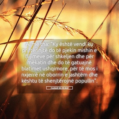 Picture 05 - Ezekieli 46:20 ALB - Ai më tha: 
