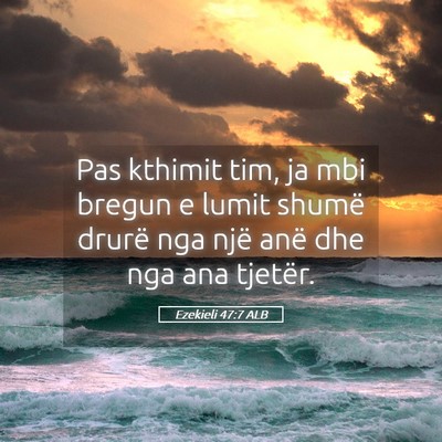 Picture 05 - Ezekieli 47:7 ALB - Pas kthimit tim, ja mbi bregun e lumit shumë - Bible Verse Picture