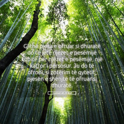 Picture 05 - Ezekieli 48:20 ALB - Gjithë pjesa e ofruar si dhuratë do të jetë - Bible Verse Picture