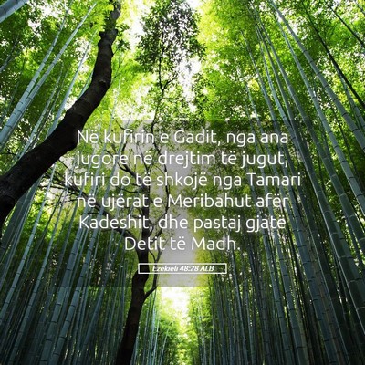 Picture 05 - Ezekieli 48:28 ALB - Në kufirin e Gadit, nga ana jugore në drejtim - Bible Verse Picture