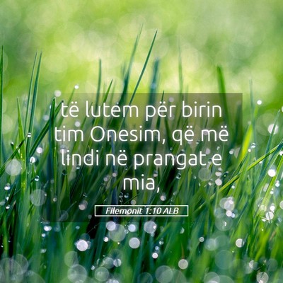 Picture 05 - Filemonit 1:10 ALB - të lutem për birin tim Onesim, që më lindi - Bible Verse Picture