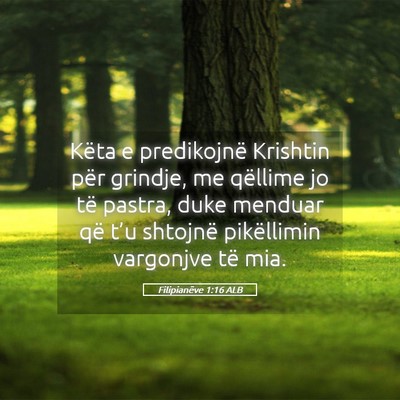 Picture 05 - Filipianëve 1:16 ALB - Këta e predikojnë Krishtin për grindje, me - Bible Verse Picture