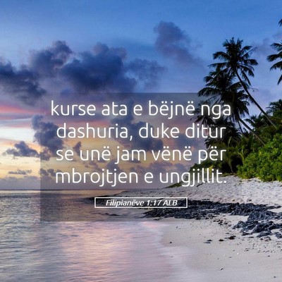 Picture 05 - Filipianëve 1:17 ALB - kurse ata e bëjnë nga dashuria, duke ditur se - Bible Verse Picture