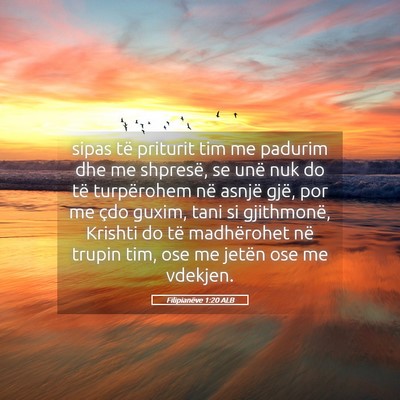 Picture 05 - Filipianëve 1:20 ALB - sipas të priturit tim me padurim dhe me - Bible Verse Picture