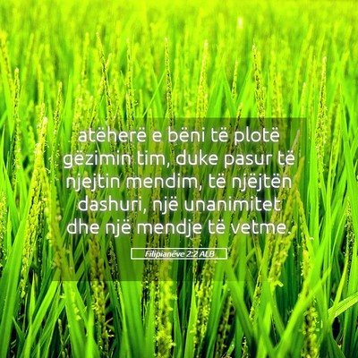 Picture 05 - Filipianëve 2:2 ALB - atëherë e bëni të plotë gëzimin tim, duke - Bible Verse Picture