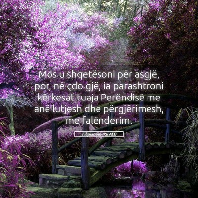Picture 05 - Filipianëve 4:6 ALB - Mos u shqetësoni për asgjë, por, në çdo - Bible Verse Picture