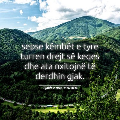 Picture 05 - Fjalët e urta 1:16 ALB - sepse këmbët e tyre turren drejt së keqes dhe - Bible Verse Picture