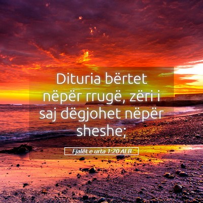 Picture 05 - Fjalët e urta 1:20 ALB - Dituria bërtet nëpër rrugë, zëri i saj - Bible Verse Picture