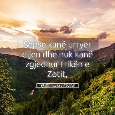 Picture 05 - Fjalët e urta 1:29 ALB - Sepse kanë urryer dijen dhe nuk kanë zgjedhur - Bible Verse Picture