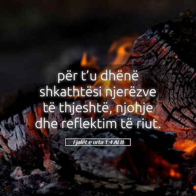 Picture 05 - Fjalët e urta 1:4 ALB - për t’u dhënë shkathtësi njerëzve të - Bible Verse Picture