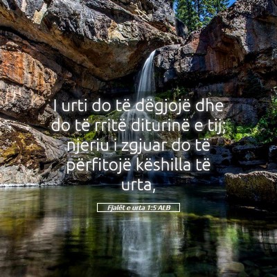 Picture 05 - Fjalët e urta 1:5 ALB - I urti do të dëgjojë dhe do të rritë - Bible Verse Picture