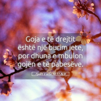 Picture 05 - Fjalët e urta 10:11 ALB - Goja e të drejtit është një burim jete, por - Bible Verse Picture