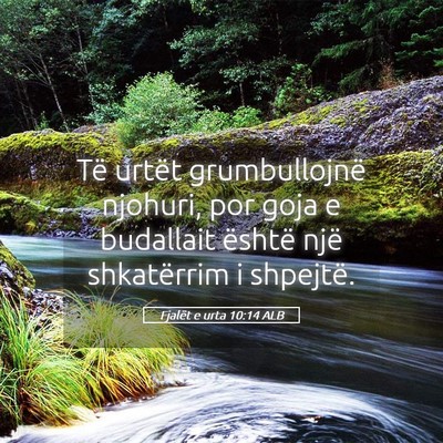 Picture 05 - Fjalët e urta 10:14 ALB - Të urtët grumbullojnë njohuri, por goja e - Bible Verse Picture