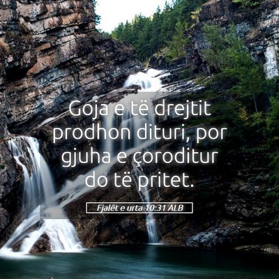 Picture 05 - Fjalët e urta 10:31 ALB - Goja e të drejtit prodhon dituri, por gjuha e - Bible Verse Picture