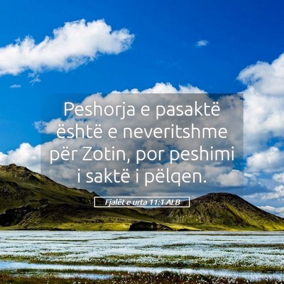 Picture 05 - Fjalët e urta 11:1 ALB - Peshorja e pasaktë është e neveritshme për - Bible Verse Picture