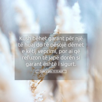 Picture 05 - Fjalët e urta 11:15 ALB - Kush bëhet garant për një të huaj do të - Bible Verse Picture