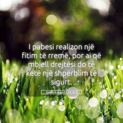 Picture 05 - Fjalët e urta 11:18 ALB - I pabesi realizon një fitim të rremë, por ai - Bible Verse Picture