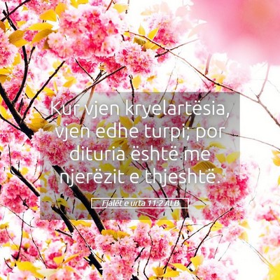 Picture 05 - Fjalët e urta 11:2 ALB - Kur vjen kryelartësia, vjen edhe turpi; por - Bible Verse Picture