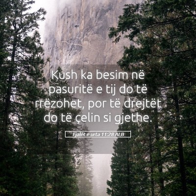 Picture 05 - Fjalët e urta 11:28 ALB - Kush ka besim në pasuritë e tij do të - Bible Verse Picture