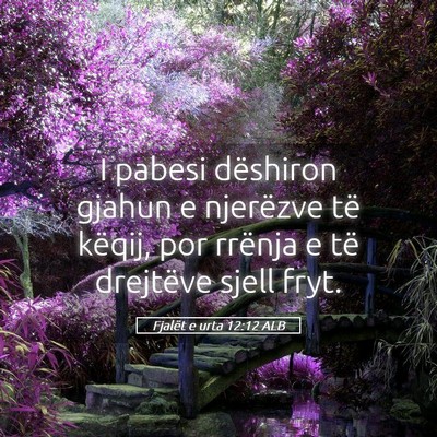 Picture 05 - Fjalët e urta 12:12 ALB - I pabesi dëshiron gjahun e njerëzve të këqij, - Bible Verse Picture