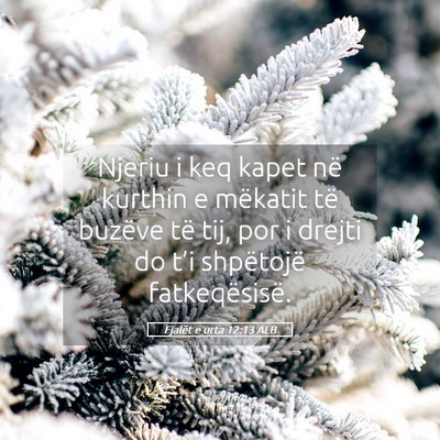 Picture 05 - Fjalët e urta 12:13 ALB - Njeriu i keq kapet në kurthin e mëkatit të - Bible Verse Picture