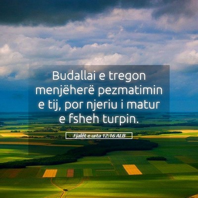 Picture 05 - Fjalët e urta 12:16 ALB - Budallai e tregon menjëherë pezmatimin e tij, - Bible Verse Picture
