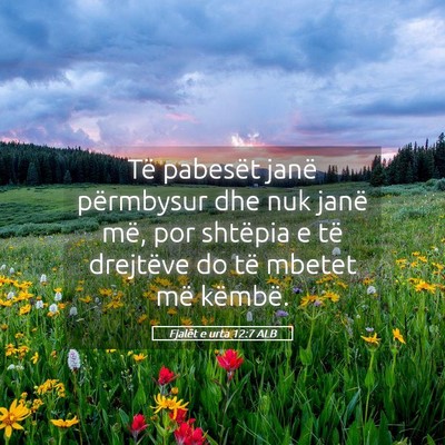 Picture 05 - Fjalët e urta 12:7 ALB - Të pabesët janë përmbysur dhe nuk janë më, - Bible Verse Picture