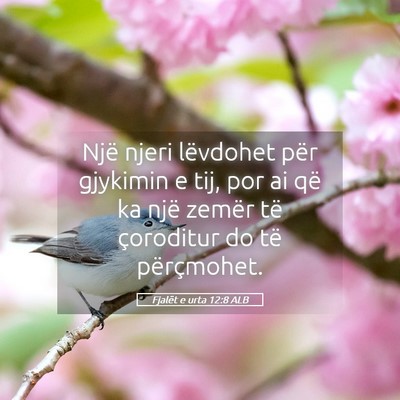 Picture 05 - Fjalët e urta 12:8 ALB - Një njeri lëvdohet për gjykimin e tij, por ai - Bible Verse Picture