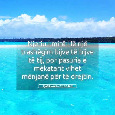 Picture 05 - Fjalët e urta 13:22 ALB - Njeriu i mirë i lë një trashëgim bijve të - Bible Verse Picture