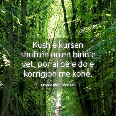 Picture 05 - Fjalët e urta 13:24 ALB - Kush e kursen shufrën urren birin e vet, por ai - Bible Verse Picture