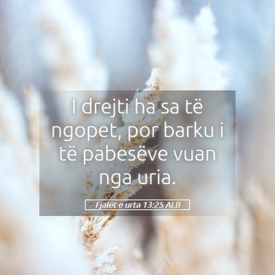 Picture 05 - Fjalët e urta 13:25 ALB - I drejti ha sa të ngopet, por barku i të - Bible Verse Picture