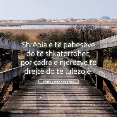 Picture 05 - Fjalët e urta 14:11 ALB - Shtëpia e të pabesëve do të shkatërrohet, - Bible Verse Picture