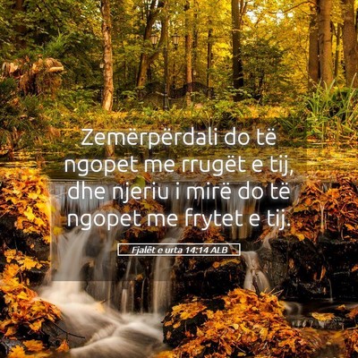 Picture 05 - Fjalët e urta 14:14 ALB - Zemërpërdali do të ngopet me rrugët e tij, - Bible Verse Picture