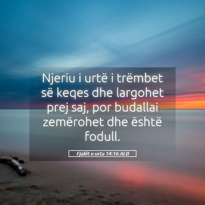 Picture 05 - Fjalët e urta 14:16 ALB - Njeriu i urtë i trëmbet së keqes dhe largohet - Bible Verse Picture