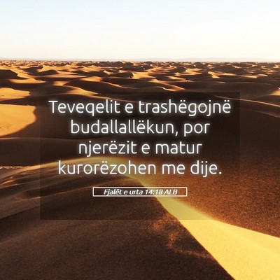 Picture 05 - Fjalët e urta 14:18 ALB - Teveqelit e trashëgojnë budallallëkun, por - Bible Verse Picture