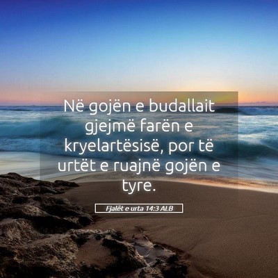 Picture 05 - Fjalët e urta 14:3 ALB - Në gojën e budallait gjejmë farën e - Bible Verse Picture