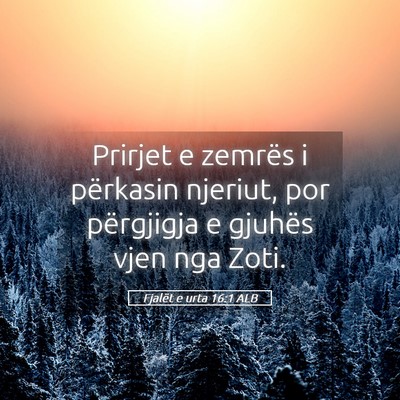 Picture 05 - Fjalët e urta 16:1 ALB - Prirjet e zemrës i përkasin njeriut, por - Bible Verse Picture