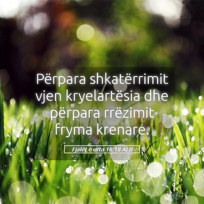 Picture 05 - Fjalët e urta 16:18 ALB - Përpara shkatërrimit vjen kryelartësia dhe - Bible Verse Picture