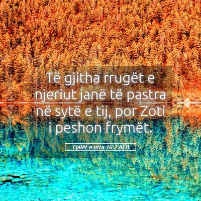 Picture 05 - Fjalët e urta 16:2 ALB - Të gjitha rrugët e njeriut janë të pastra në - Bible Verse Picture