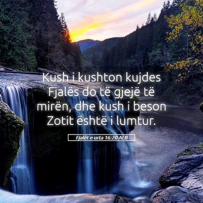 Picture 05 - Fjalët e urta 16:20 ALB - Kush i kushton kujdes Fjalës do të gjejë të - Bible Verse Picture