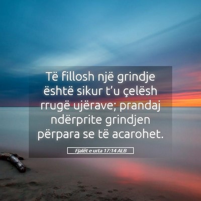 Picture 05 - Fjalët e urta 17:14 ALB - Të fillosh një grindje është sikur t’u - Bible Verse Picture
