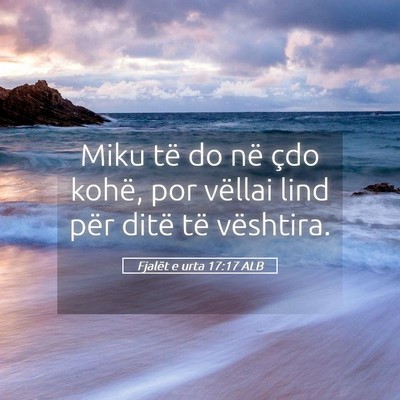 Picture 05 - Fjalët e urta 17:17 ALB - Miku të do në çdo kohë, por vëllai lind për - Bible Verse Picture